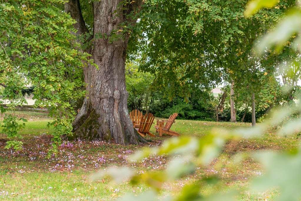 Le Domaine De Mestre, The Originals Relais Fontevraud L'Abbaye Εξωτερικό φωτογραφία